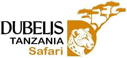 dubelis safari logo